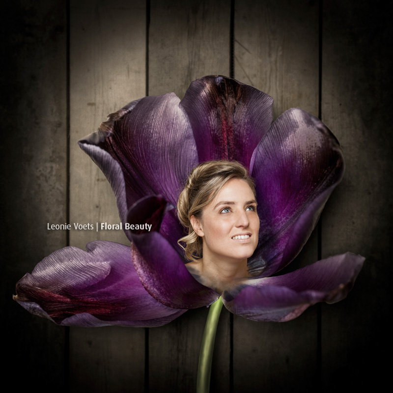 leonie-voets-fotograaf-mierlo-imagingpeople-floralbeauty-tulp-marieke