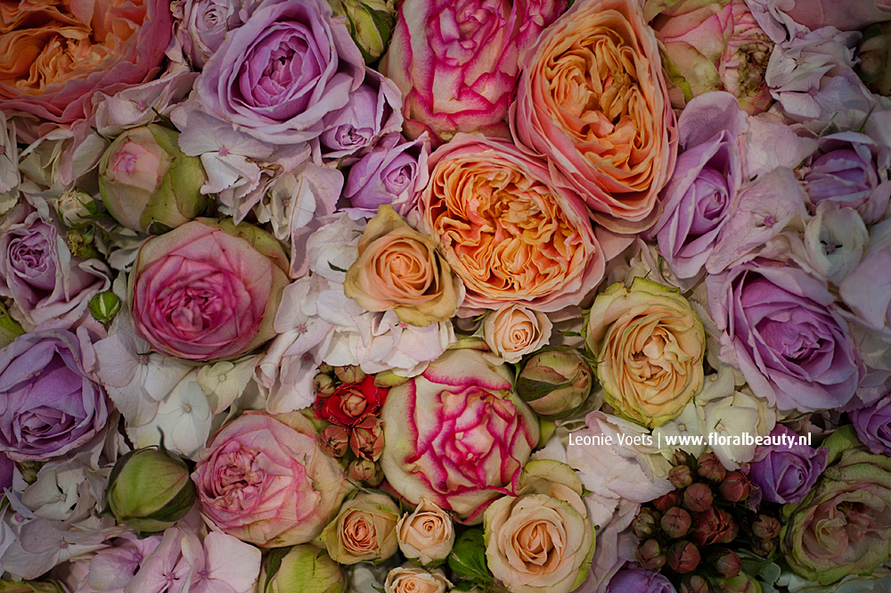 floralbeauty-imagingpeople-leonie-voets-rozen-02