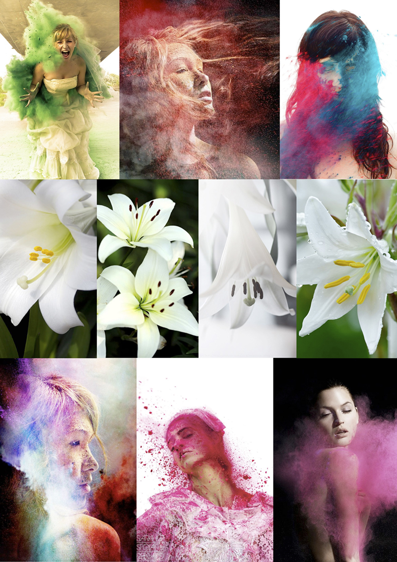 floralbeauty-imagingpeople-leonie-voets-fotograaf-mierlo-moodboard-color-wave